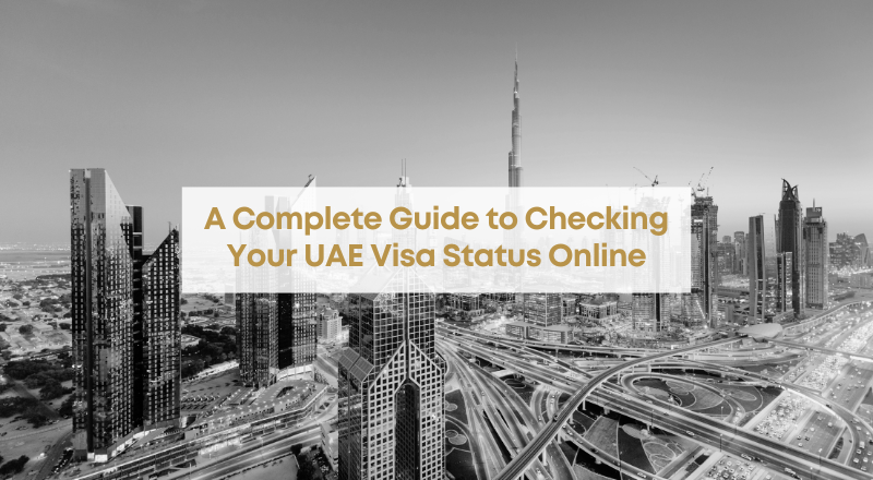 A Complete Guide to Checking Your UAE Visa Status Online