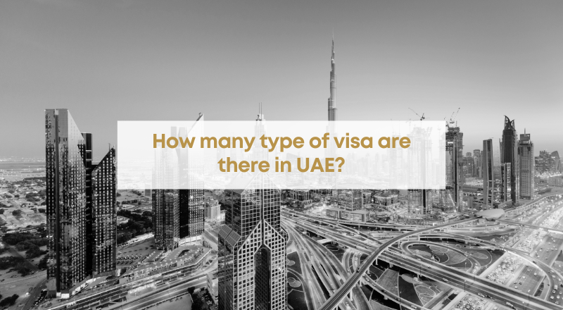 How many type of visa are there in UAE?