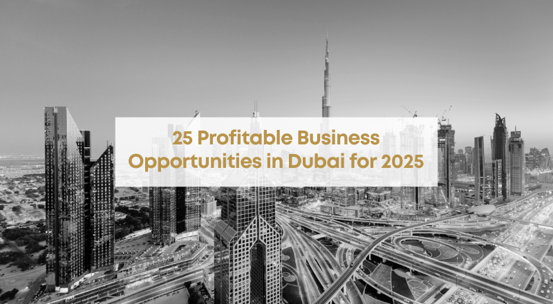 25 Profitable Business Opportunities in Dubai for 2025